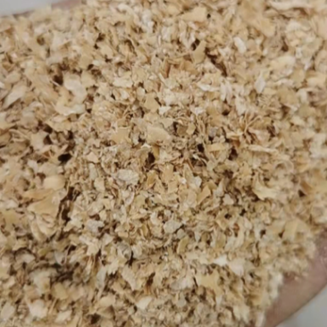 麦麸养殖