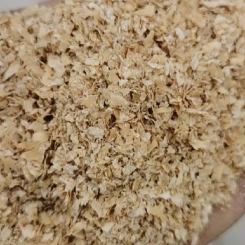 麦麸养殖