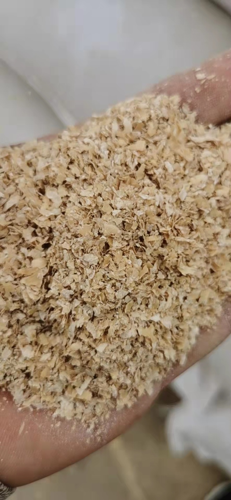 麦麸养殖