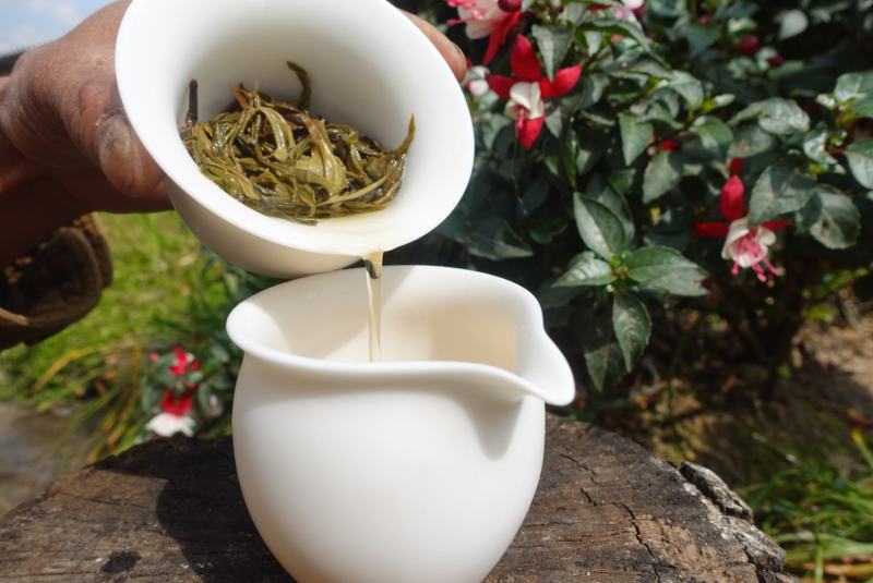 2018年头春茶云南大理普洱茶茶叶茶饼无量山乔木生普包邮