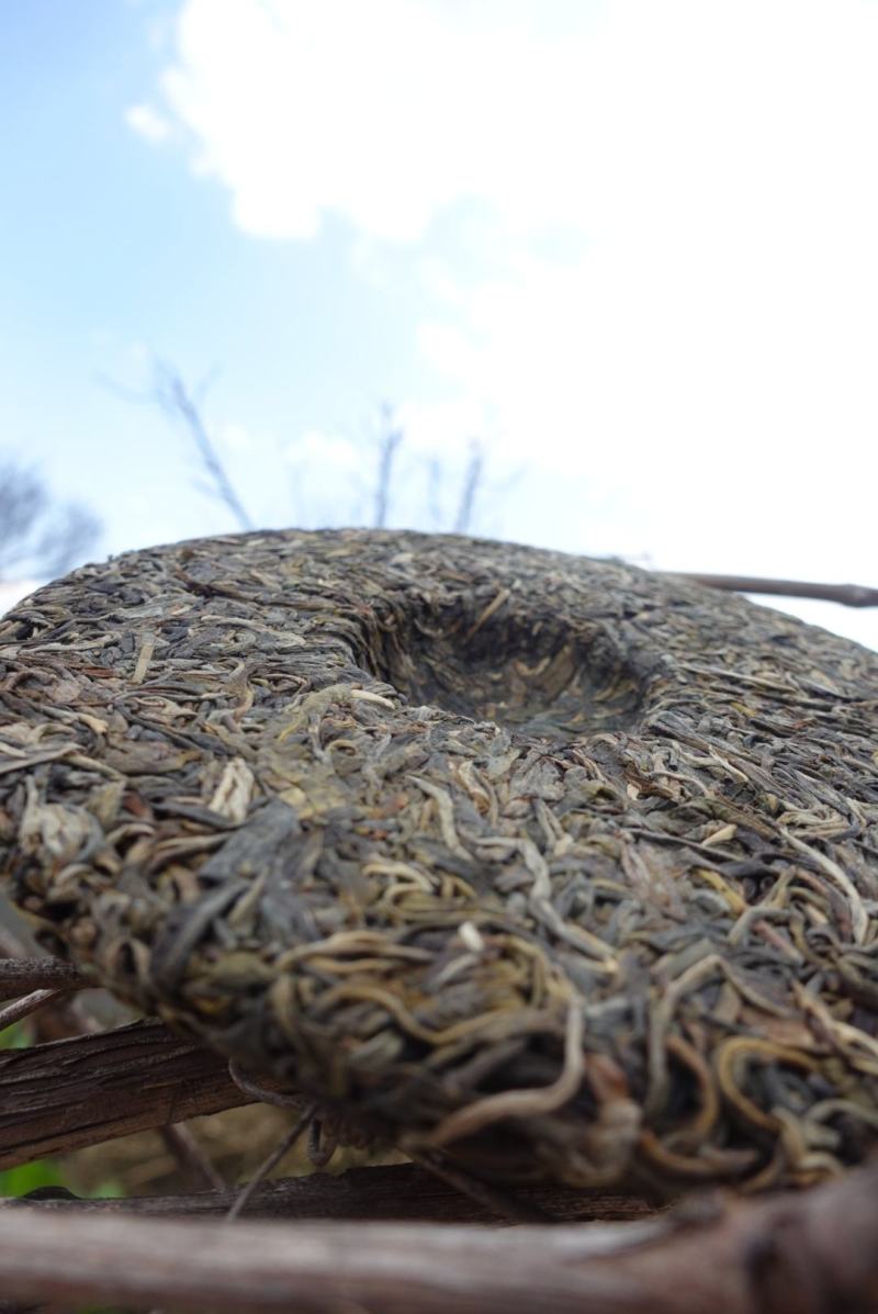 2018年头春茶云南大理普洱茶茶叶茶饼无量山乔木生普包邮