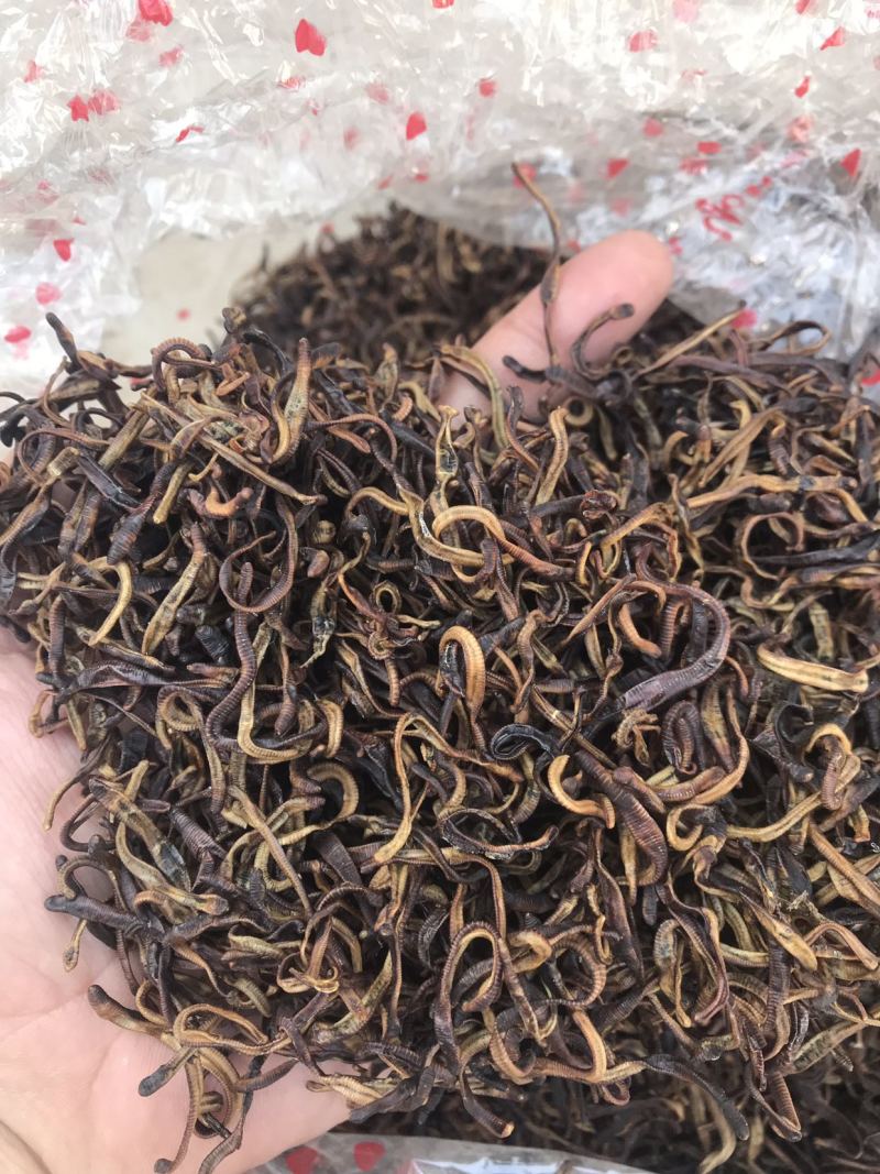 太平蚯蚓蚯蚓干地龙干