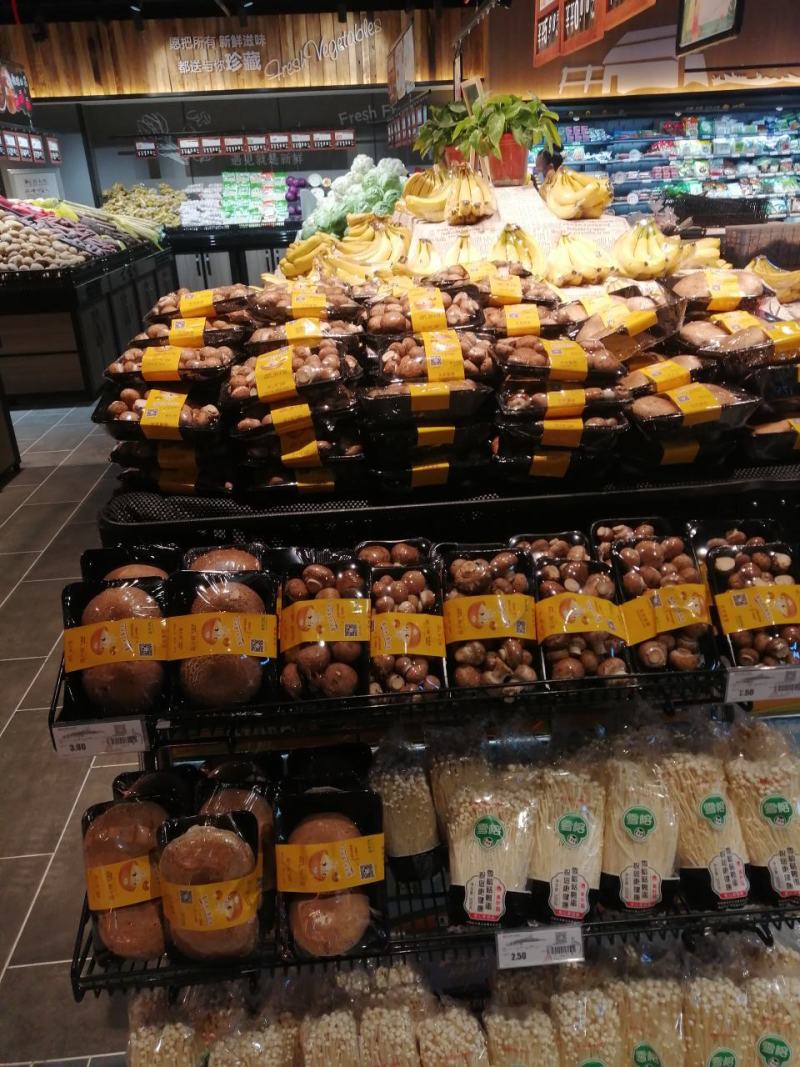 奥吉特牛排菇