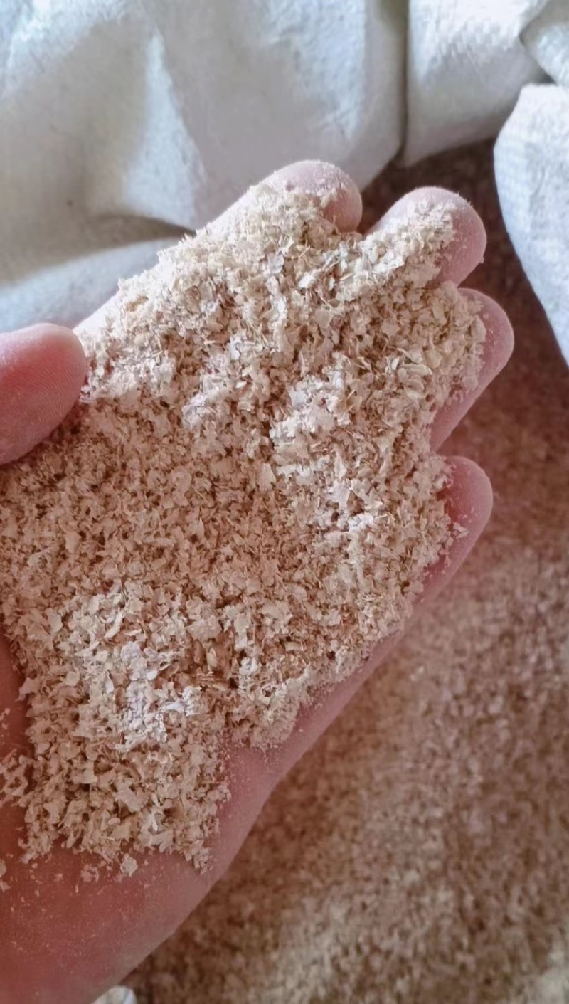 麦麸养殖专业用，河北厂家价格合理全国发货