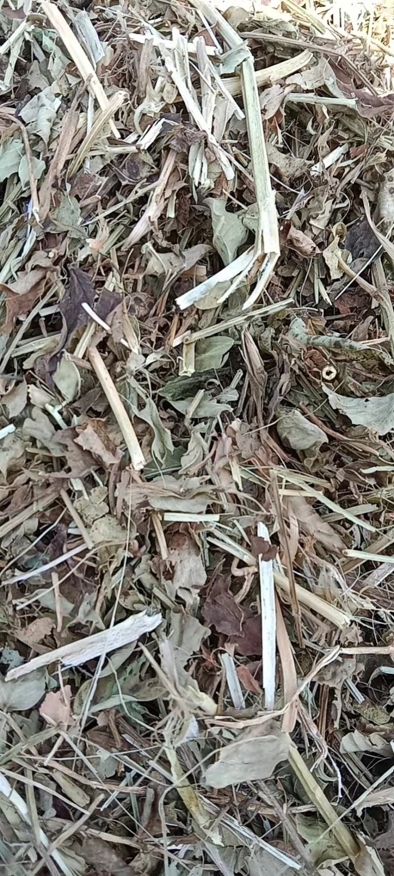平顶山叶县花生秧饲草干净，品质好欢迎惠顾