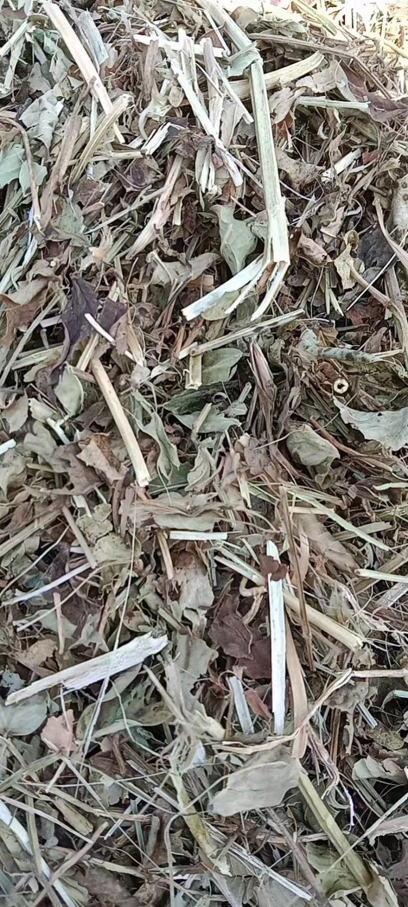 平顶山叶县花生秧饲草干净，品质好欢迎惠顾
