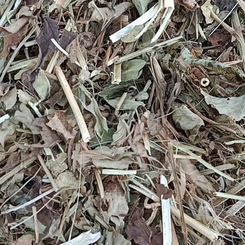 平顶山叶县花生秧饲草干净，品质好欢迎惠顾