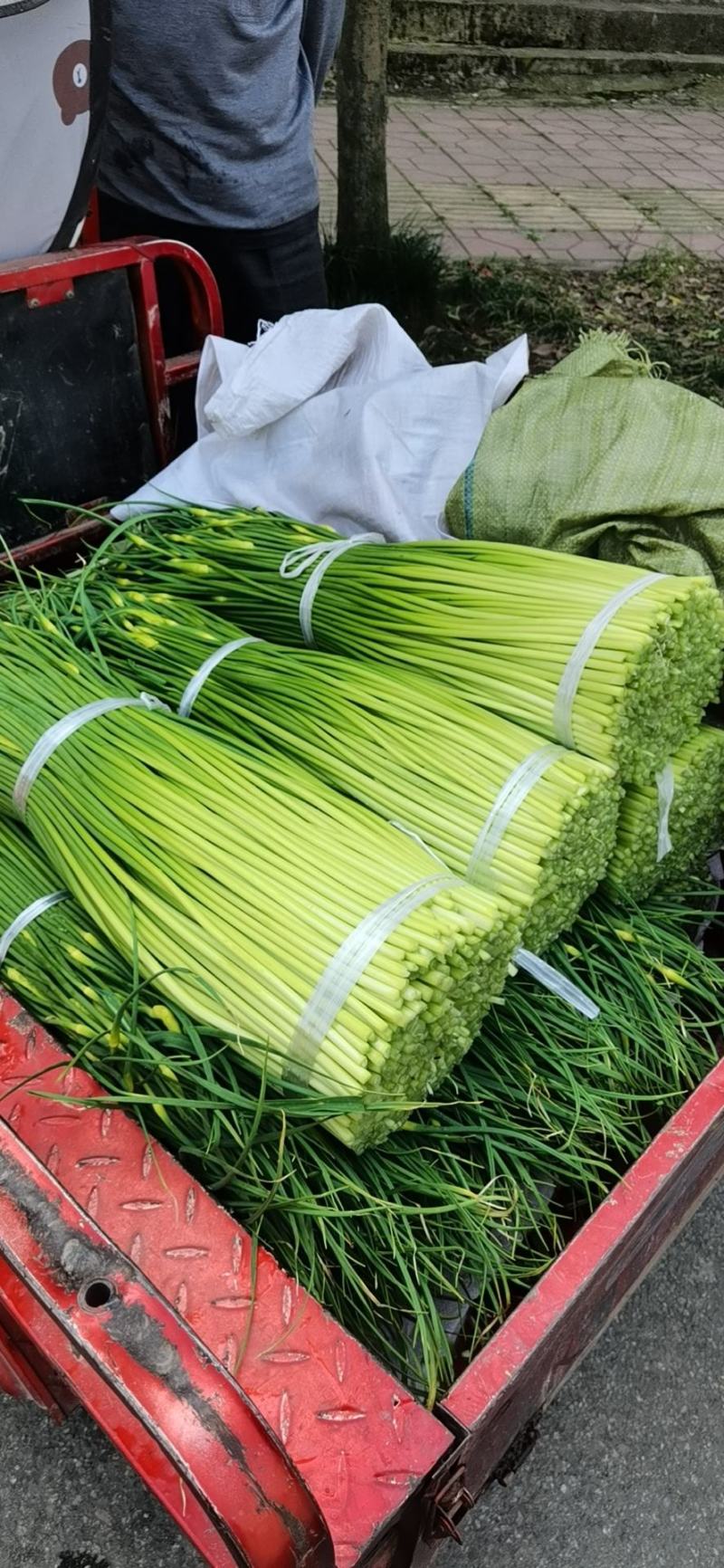 什邡市精品蒜薹