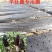 地膜打孔地膜蔬菜、药材、苗木、花卉种植专用定制打孔地膜