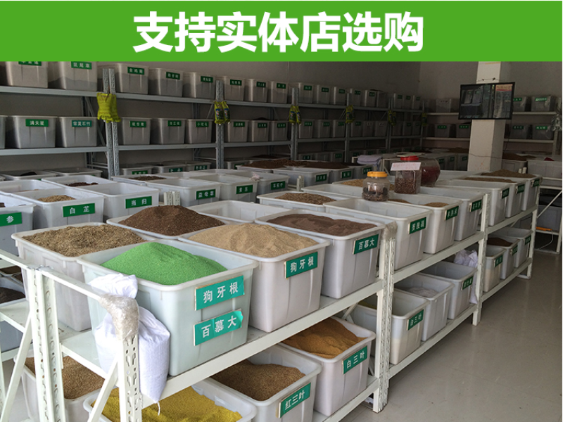进口果岭草种子四季青草籽耐寒耐践踏别墅庭院绿化草籽包发芽