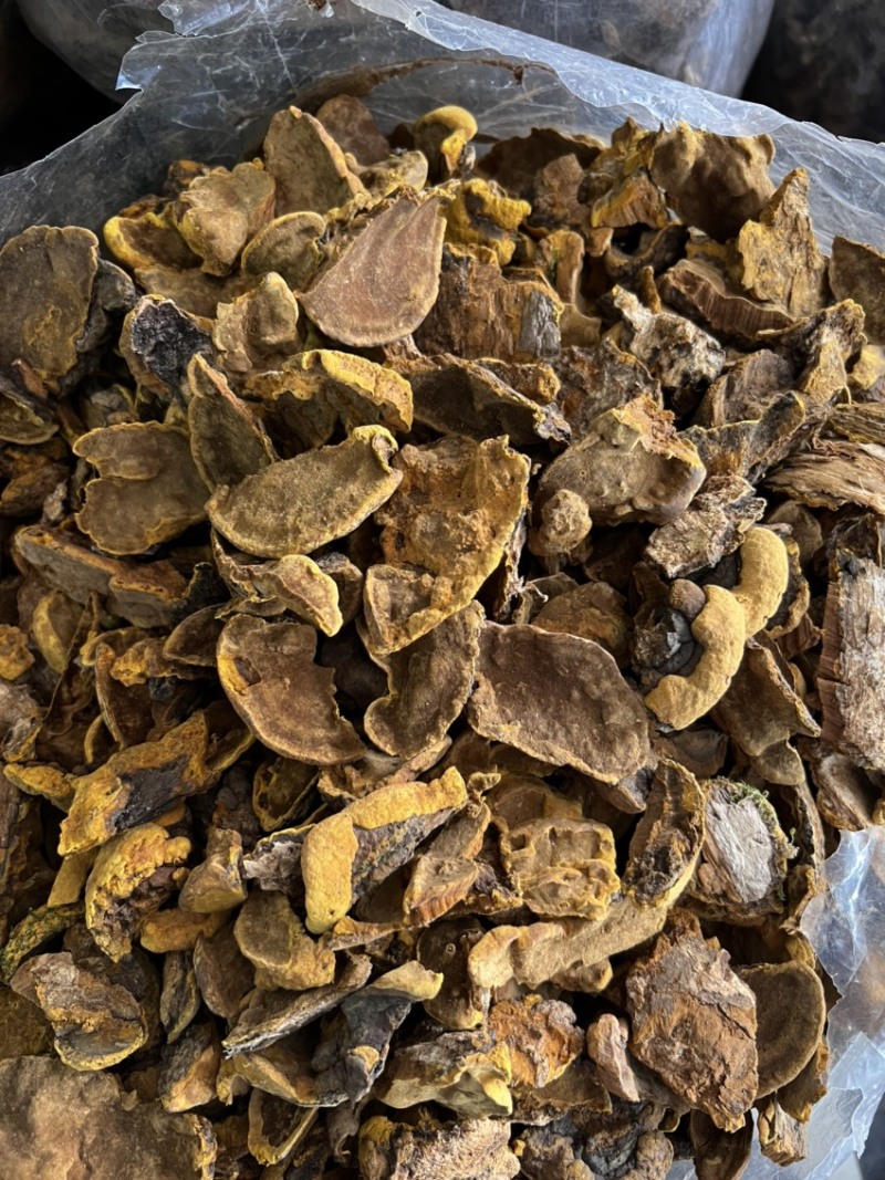 桑黄货靓足干货