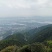 林场开发