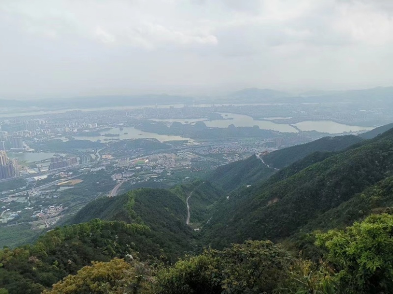 林场开发