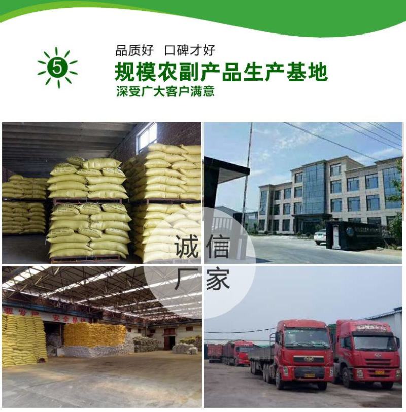 厂家常年供应米糠稻糠稻壳粉干净除尘无杂质稻壳粉饲料