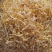 芽豆黄豆中粒黄豆芽菜豆生豆芽专用豆子水培芽苗豆
