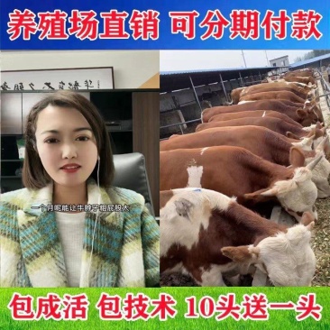格罗维牛买十送二货到付款价格便宜全国包运包成活率