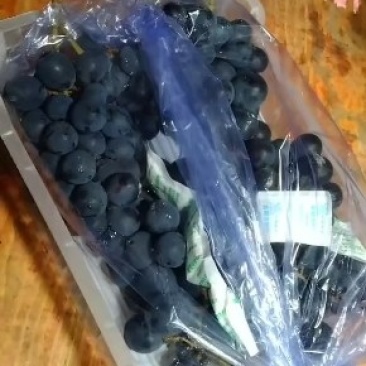巨峰葡萄