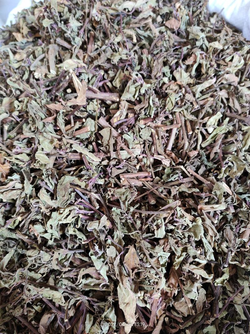 广西中草药材猫须草猫须公肾茶叶多好货