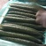 密刺黄瓜25公分以上干花带刺产地直供货源充足