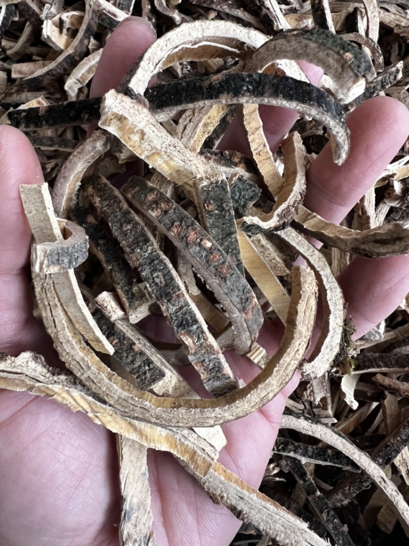 合欢皮靓货合欢皮片及合欢皮丝