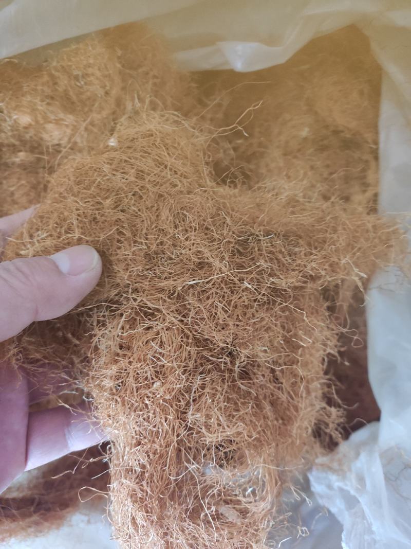 玉米须干货手选泡水级别无黑头欢迎选购！