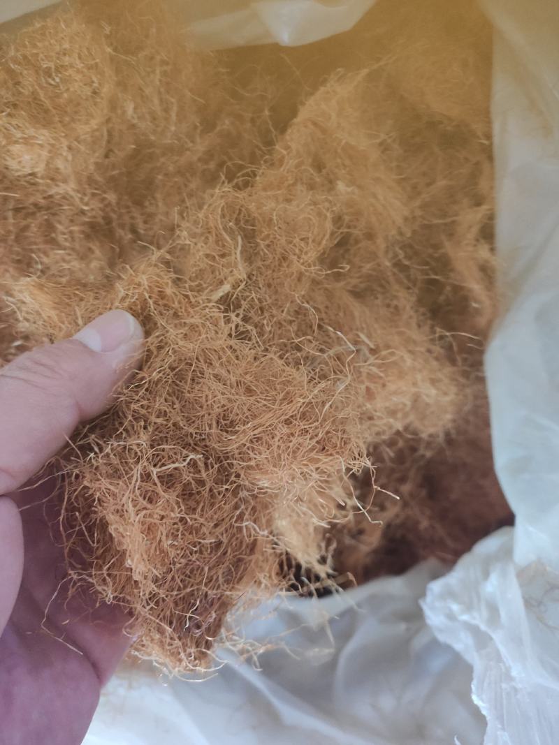 玉米须干货手选泡水级别无黑头欢迎选购！