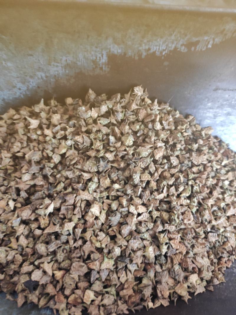 蒺藜干货蒺藜中药材干净无杂质量大从优欢迎选购