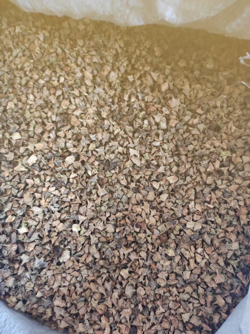 蒺藜干货蒺藜中药材干净无杂质量大从优欢迎选购