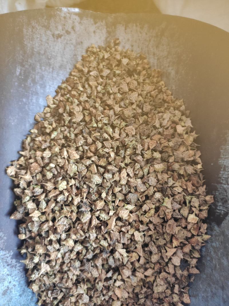 蒺藜干货蒺藜中药材干净无杂质量大从优欢迎选购