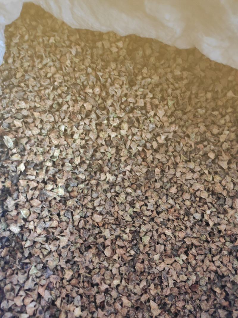 蒺藜干货蒺藜中药材干净无杂质量大从优欢迎选购