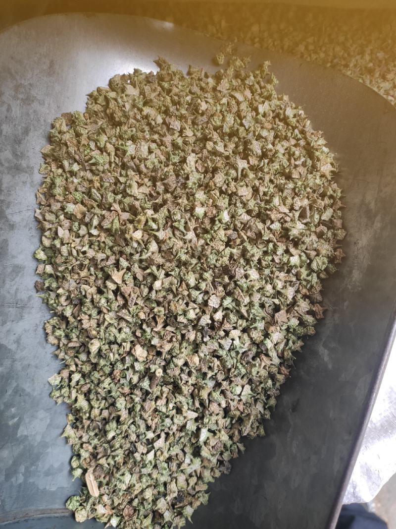 蒺藜干货蒺藜中药材干净无杂质量大从优欢迎选购