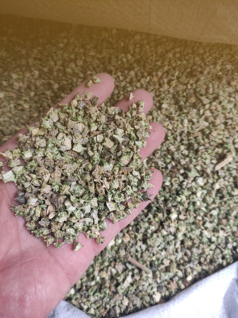 蒺藜干货蒺藜中药材干净无杂质量大从优欢迎选购