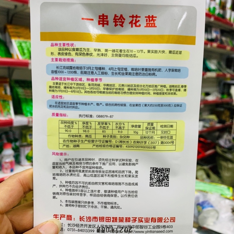 一串铃花蓝早熟嫩南瓜种子表皮绿色深色条纹一串玲南瓜种子