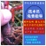 小龙虾苗种虾抱卵青虾活体虾淡水种苗养殖龙虾苗优质苗种培育