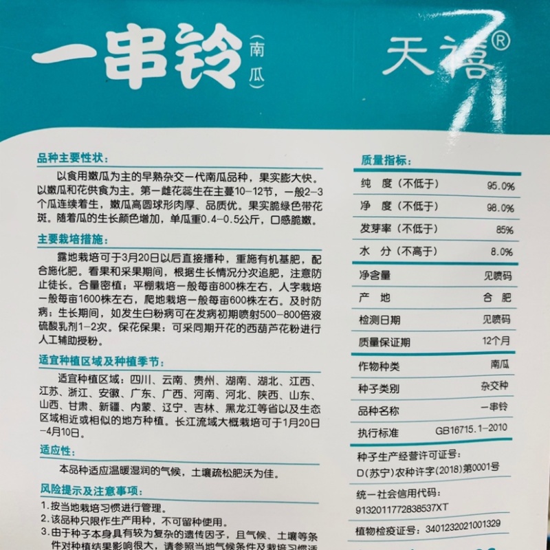 艾丽斯水果南瓜种子扁圆形果面光滑味道粉甜早熟南瓜种子