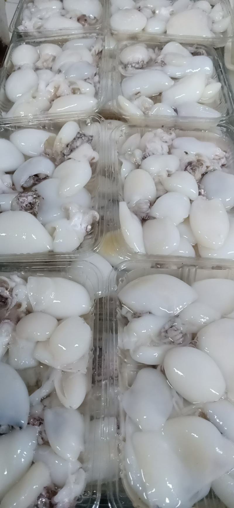 网红电商版精选墨鱼仔，价钱便宜，不缩水，非常脆口，，，，