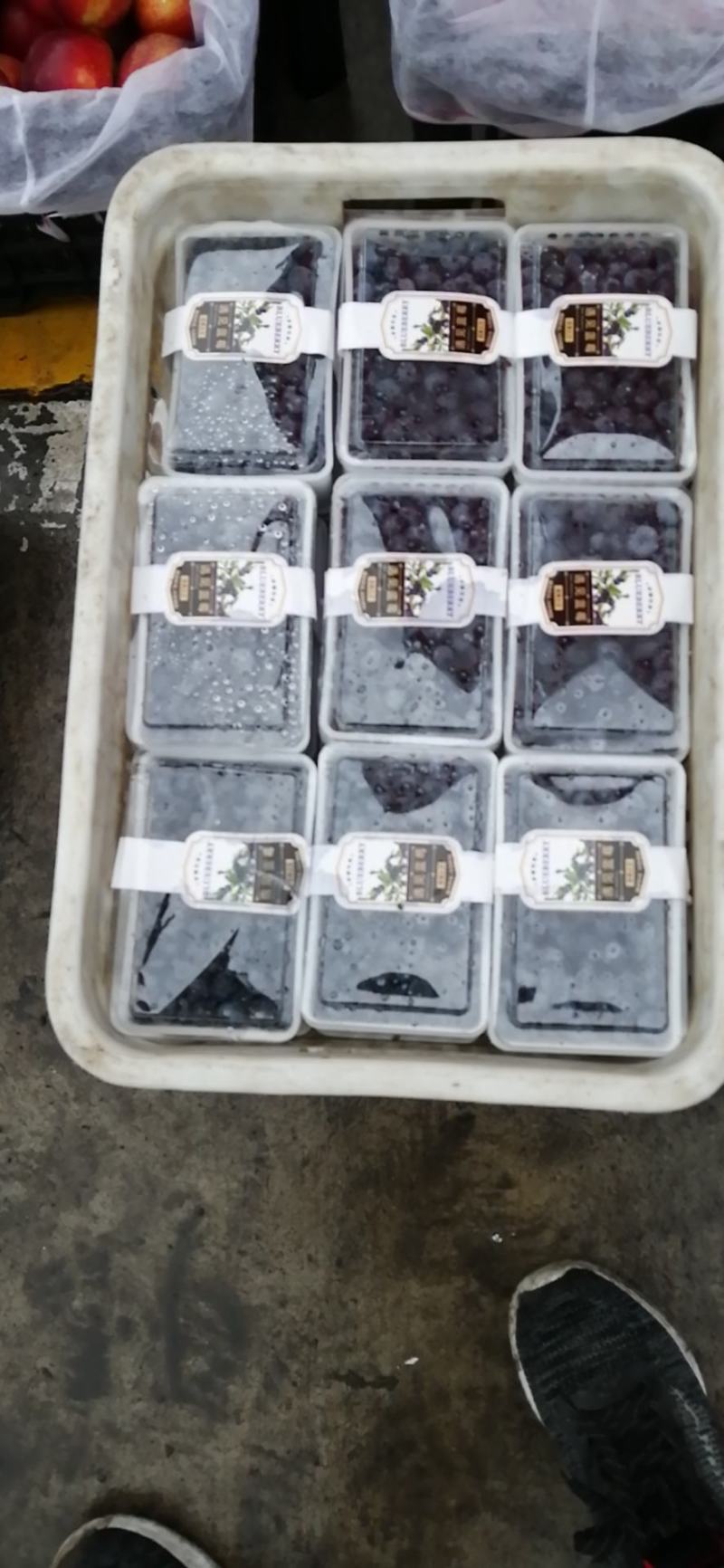 辽宁L11蓝莓提供纸箱泡沫箱礼品盒小盒子按需求分拣打包