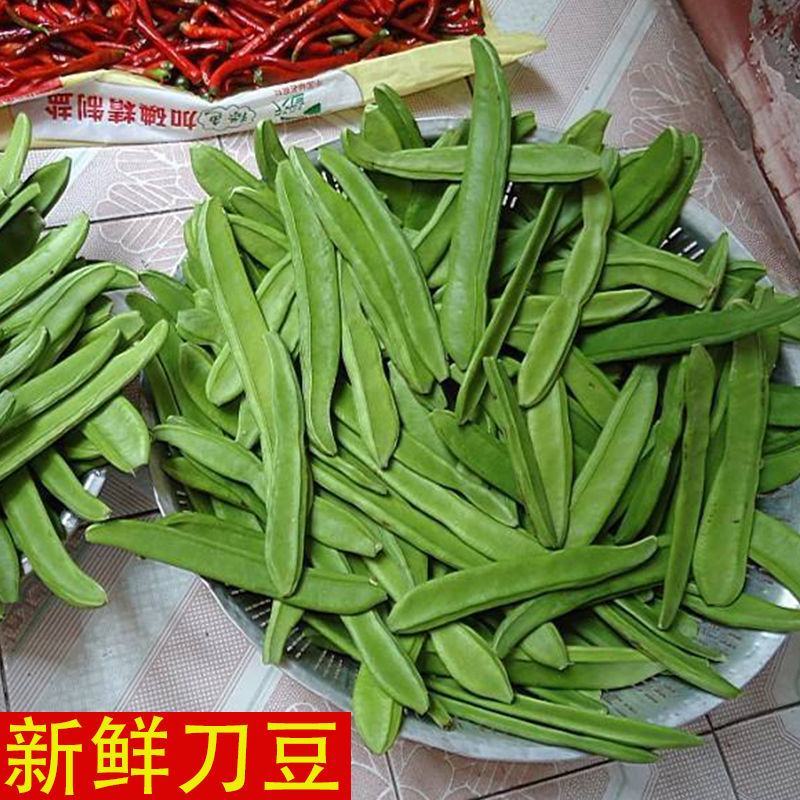 杨林寨刀巴豆/脆嫩刀豆/腌酸菜上品/下饭菜