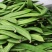 杨林寨刀巴豆/脆嫩刀豆/腌酸菜上品/下饭菜