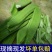 杨林寨刀巴豆/脆嫩刀豆/腌酸菜上品/下饭菜