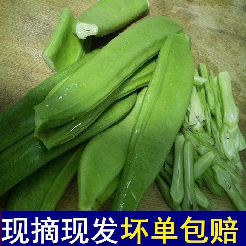 杨林寨刀巴豆/脆嫩刀豆/腌酸菜上品/下饭菜