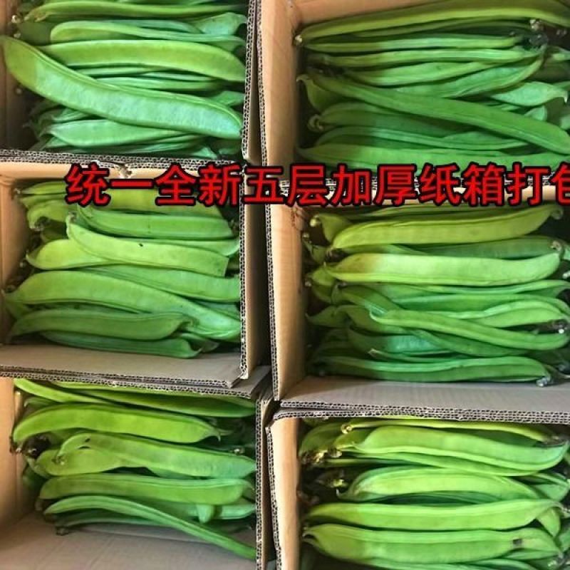 杨林寨刀巴豆/脆嫩刀豆/腌酸菜上品/下饭菜
