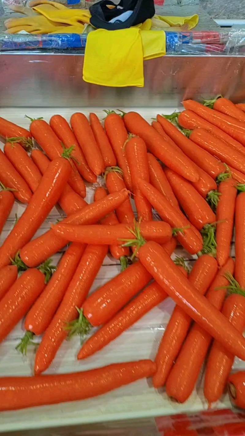 新鲜胡萝卜货源多价格好可视频看货精品