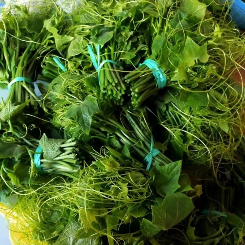 贵州安顺新鲜佛手瓜尖丝瓜尖捧瓜尖洋瓜龙须菜苔有机蔬菜现摘