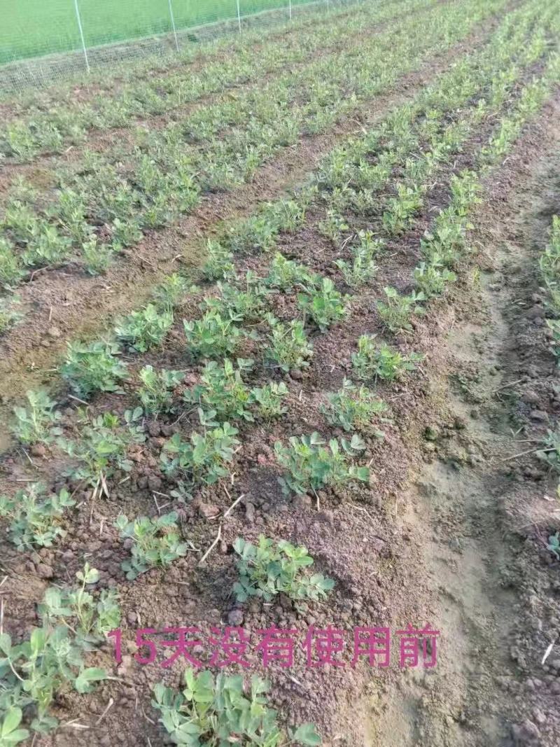 【含腐殖酸水溶肥】40斤包邮，高含量生根养根，遇水速溶