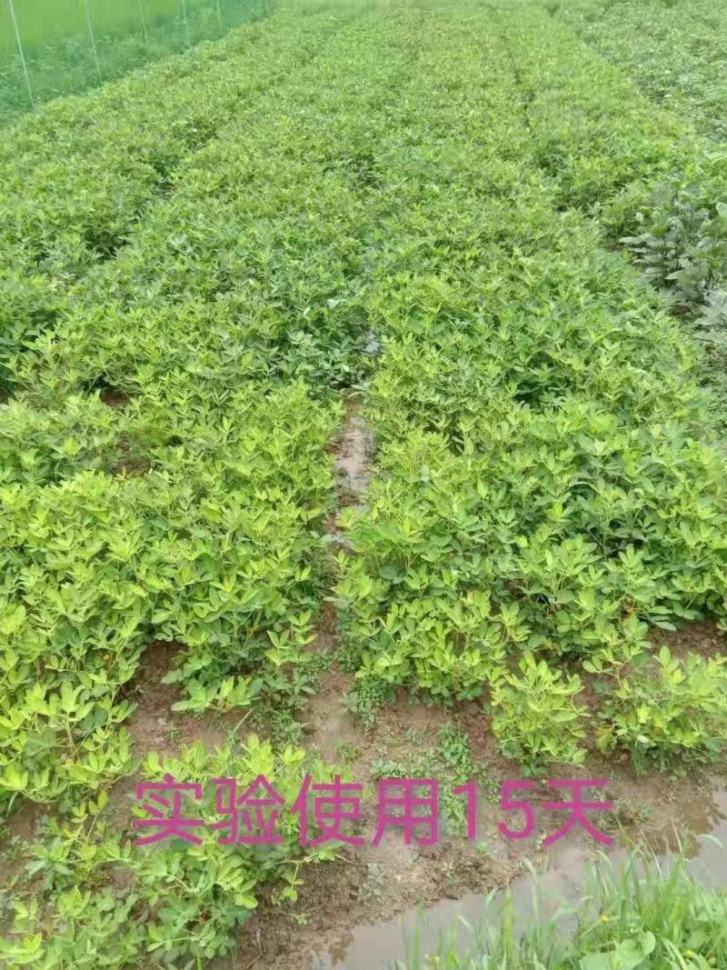 【含腐殖酸水溶肥】40斤包邮，高含量生根养根，遇水速溶