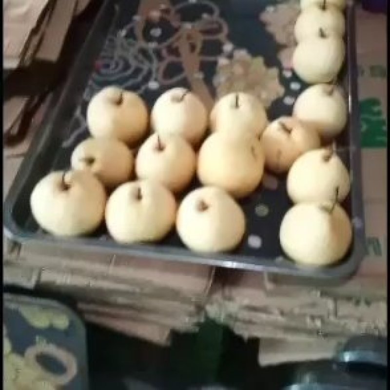陕西蒲城皇冠梨大量上市，中检梨，大量供应，产地直发