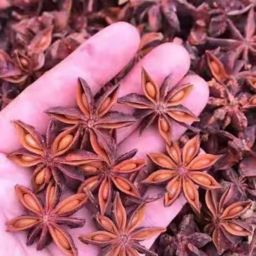 春花八角香料，广西八角，产地直销，无硫八角