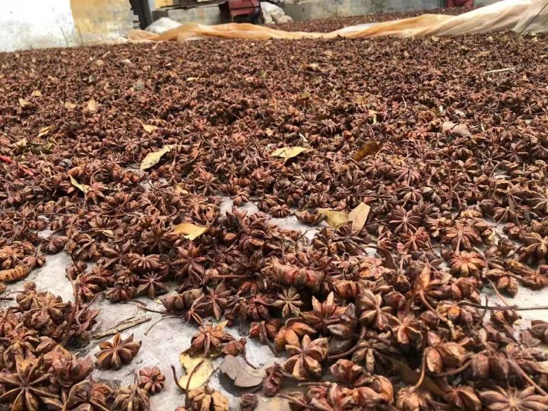 春花八角香料，广西八角，产地直销，无硫八角
