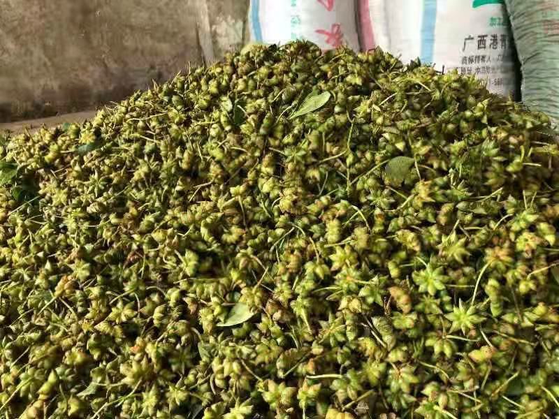 春花八角香料，广西八角，产地直销，无硫八角
